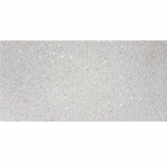 BẬC CẦU THANG TERRAZZO TS1-06S